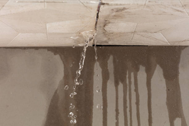 Professional Sewage Cleanup technician working in Blue Earth, MN